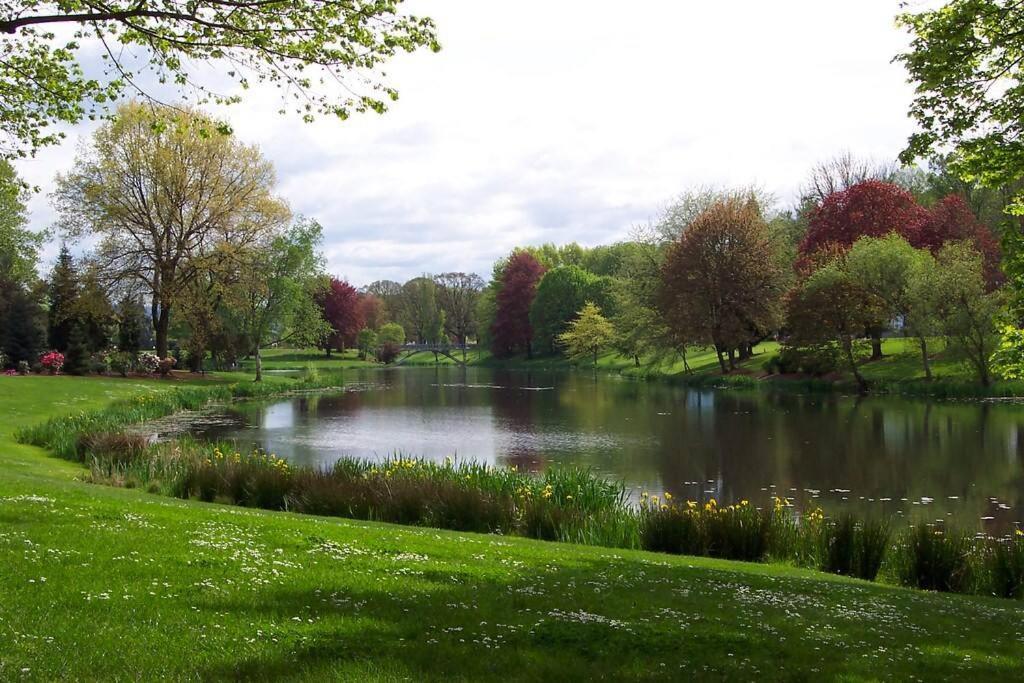 Paradise Oasis Near Lake *Full Body Massage Chair* Longview Zewnętrze zdjęcie